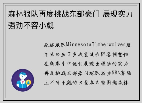 森林狼队再度挑战东部豪门 展现实力强劲不容小觑